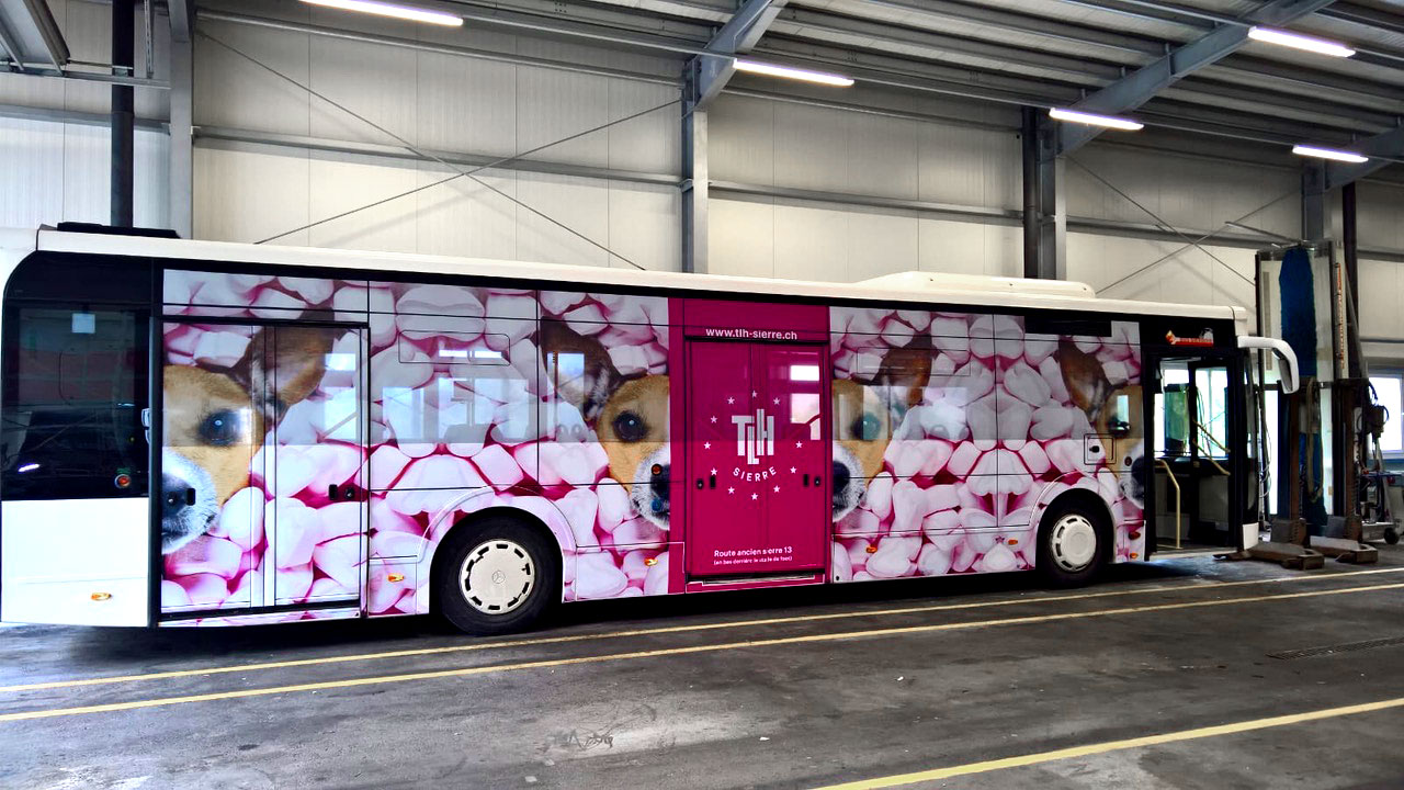 bus bus